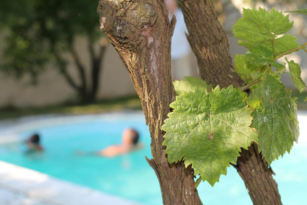 B&B Villa Romina San Cataldo  Dış mekan fotoğraf